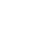 System status icon.png